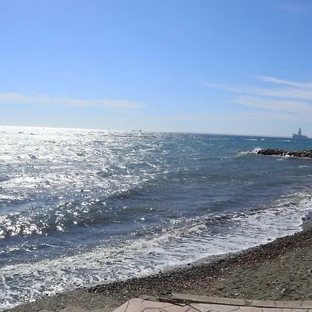 Palm * Limassol